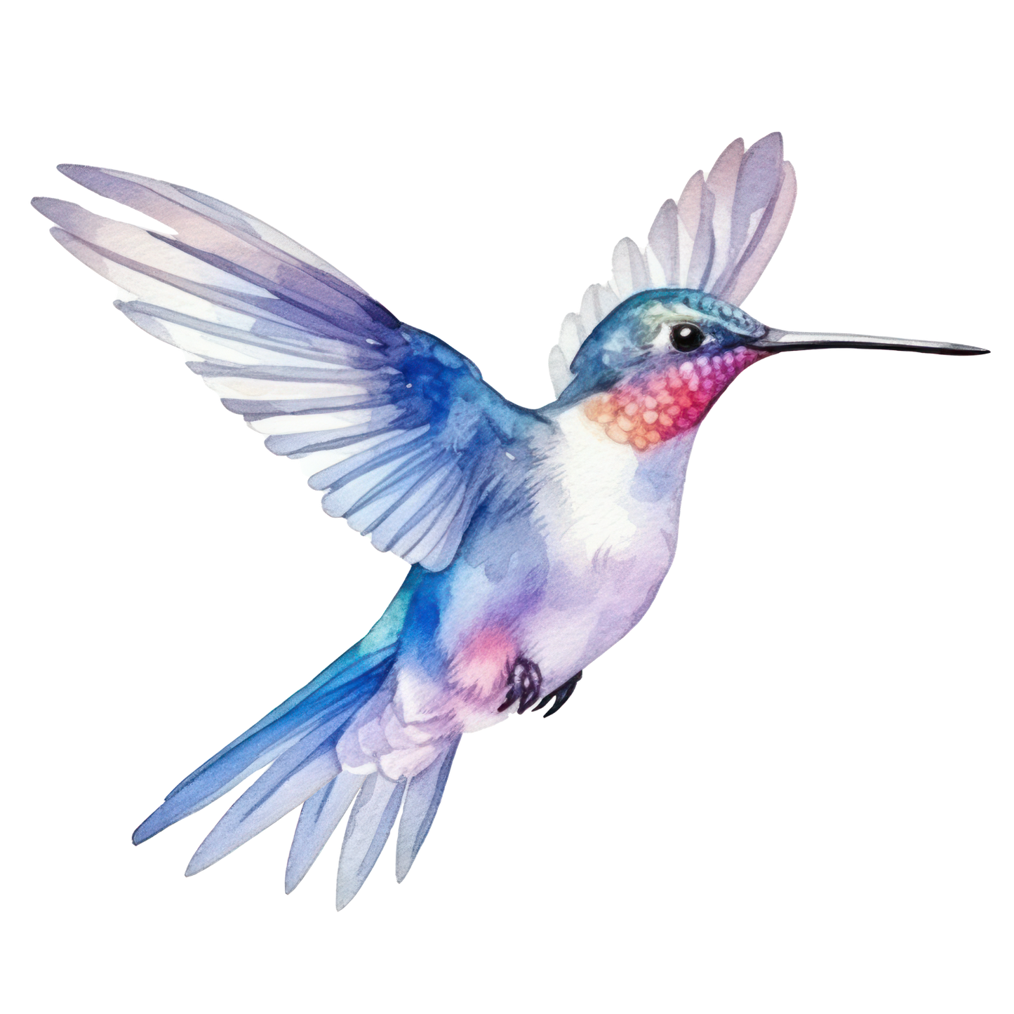 Hummingbird Sticker