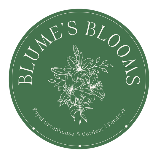 Blume's Blooms Sticker