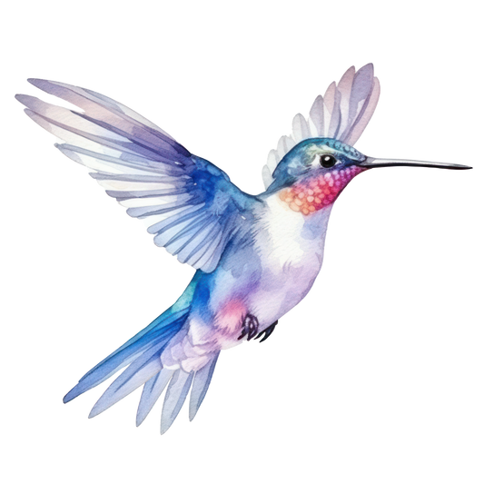 Hummingbird Sticker